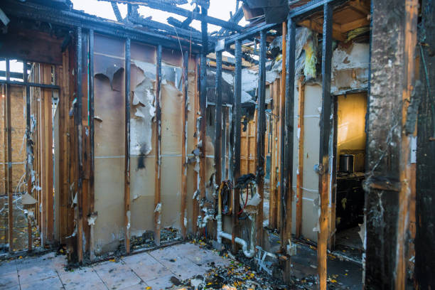 Professional Odor Removal technician working in Clay City, IN